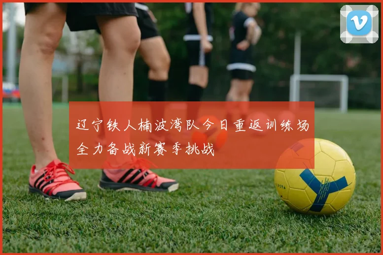辽宁铁人楠波湾队今日重返训练场全力备战新赛季挑战